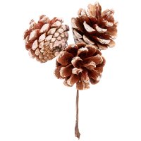 ������� ������������ ����� �����=12 ��.