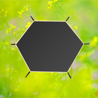     6", Perfetto Sport Ps-010