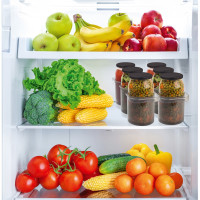  Hobbylife,  341111 , 3 