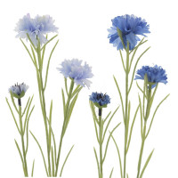 ������ ������������� �������, L7 W5 H68 ��, 2�.