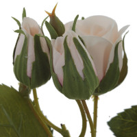   , L27 W21 H68 