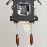 ���� ��������� ����������� ������� � �������� �����, ������� ���, 63 10 36 ��, ����������