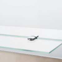 ������� �����, ���������, � ��������, 39x59 ��