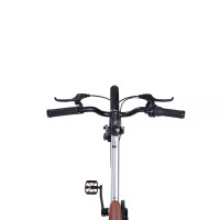  20 Maxiscoo 7bike M700,  