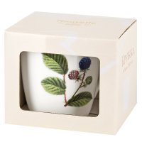 ����� �� 6 ������ Nouvelle Home Floristry 360 ��, ������, ����� ��� ��� � ���� 6 ��