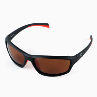 ���� ��������������� �������� Tsunami � �������, ����� Brown