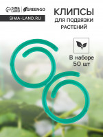     ,   50 ., , , Greengo