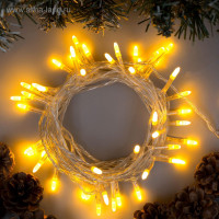   5    , Ip20,  , 50 Led,  , 8 , 220 