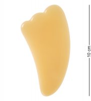 -17-06/3      