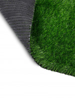  ,  ,  50 , 1 2 , , Greengo