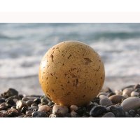  Afg Profi 05088 70?50