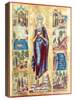 ����� ����� ����������