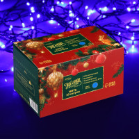   10 , Ip44,  , 100 Led,  , 8 , 220 