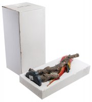 Mn- 12 ������ ������� ���