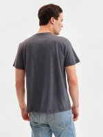   Collorista , - 50-52