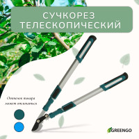  , 26.4 37 (67.5 94 ), ,   , , Greengo