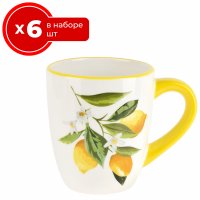 ����� �� 6 ������ Nouvelle ������ 360 ��, ��������, ����� ��� ��� � ���� 6 ��