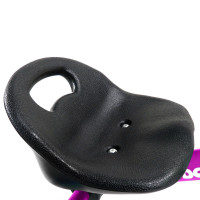  Maxiscoo Dolphin,  