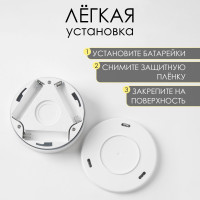 -, 50 , 3 , ,  ,  , 8  2.5 