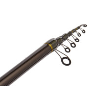     Salmo Diamond Bolognese Light Mf,  3-15 .,  4 .