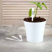 �������� �������, ��� ���������� ��������, 12 ��, ����� 20 ��., �������, �����, Greengo