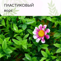  , 60   40 ,    , Greengo