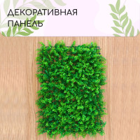  , 60 40 ,  , Greengo