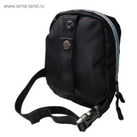  Lycosa,  , -