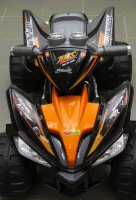   Neotrike Quadro Beach