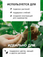    , 50 , ,  , Greengo