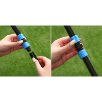 -   , 16 , , Greengo