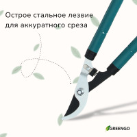  , 22.533 (5784 ), ,   , Greengo