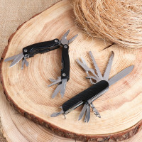 ����� ���������� ����������� ��� � ���������, ����