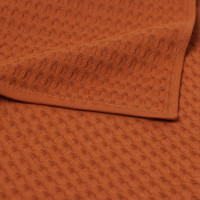    Bright Day,  19 19 ,  35 60 , 