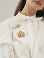 ����� ������� � ����������, ���� ����� � ������