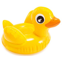    ,  2 ,  , 58590np Intex