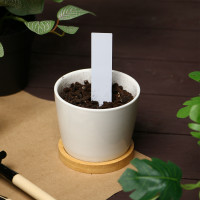  ,   , 10 ,  20 ., , , , Greengo