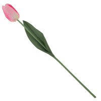    (real Touch), L4 W3 H45 