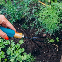 ��������� Greengo, ����� 30.5 ��, 3 �����, ���������� ����� � ���������