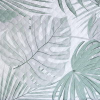  1.5-  Tropics, 145 2105 , 