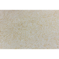    Joy Home, 137 , 20 , 