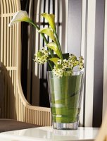  Macassar Cristal Darques 27