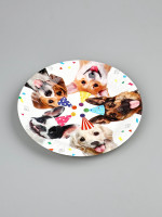 ������� ����������� �������� 17 �� 6 ��.