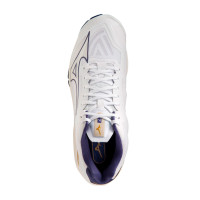    Mizuno Wave Lightning Z7 Mid V1ga2250 43,  11 Us