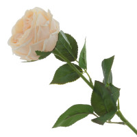   , L9 W6 H60 