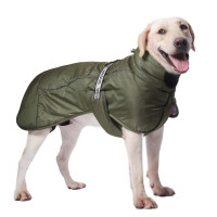    ,  ,  4xl ( 58,  58,  74-84 ), 