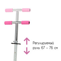 - 2  1 Snow Cat,  100 