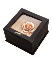 Ga-br-s ����� �����