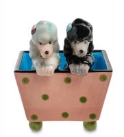 Cms-03/ 8  -  (pavone)