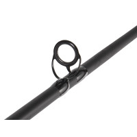 ������� �������� Salmo Blaster Carp, ���� 1-100 �., ����� 3,3 �.